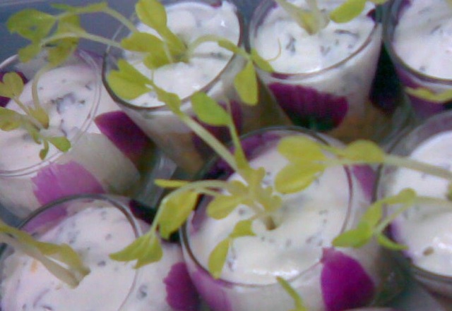 Photo006